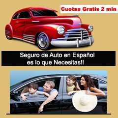 Un Seguro de Carro en Miami, Orlando, Tampa Fl